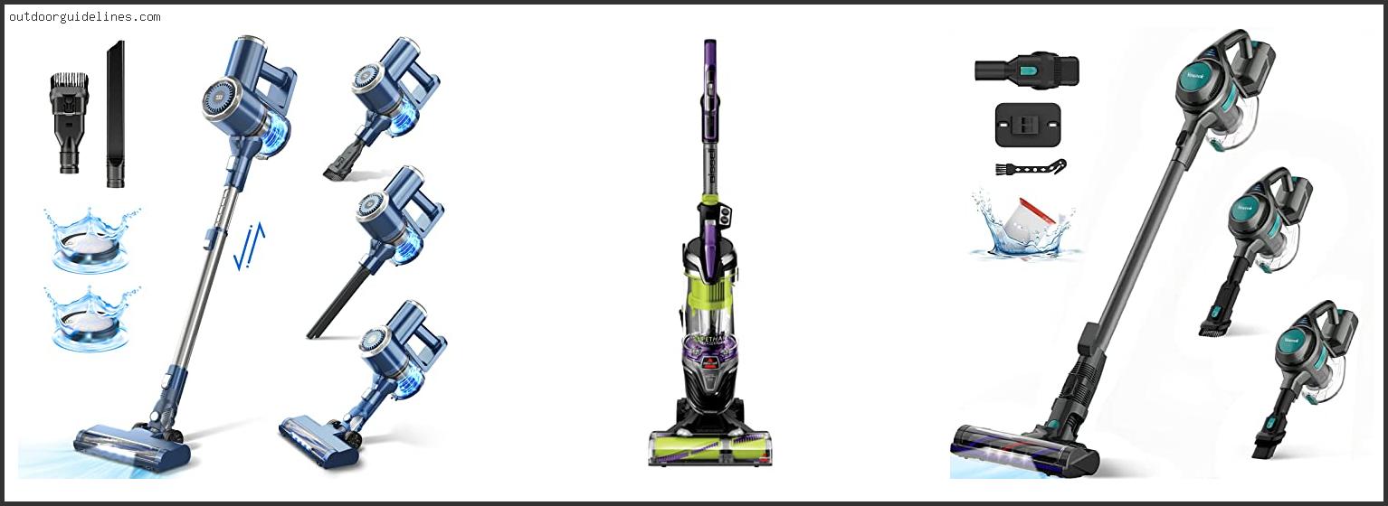 Best Vacuum Cleaner For Carpet And Pet Hair