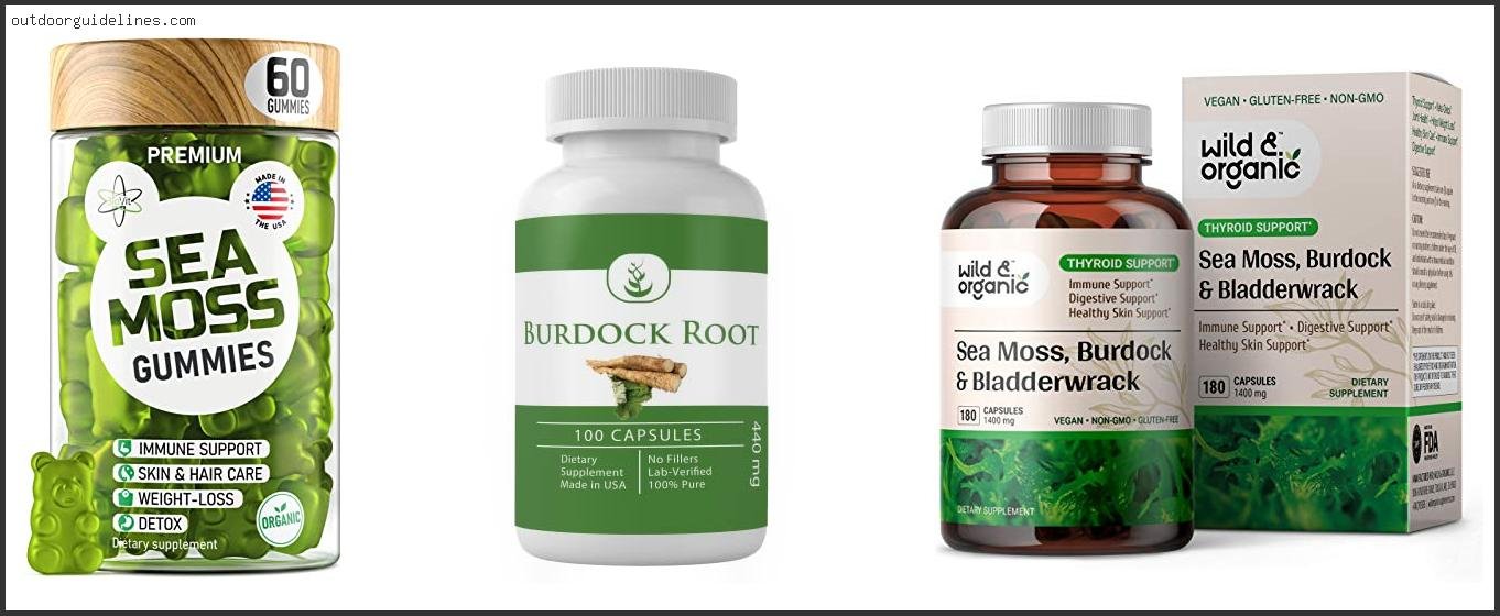 Best Burdock Root Supplement