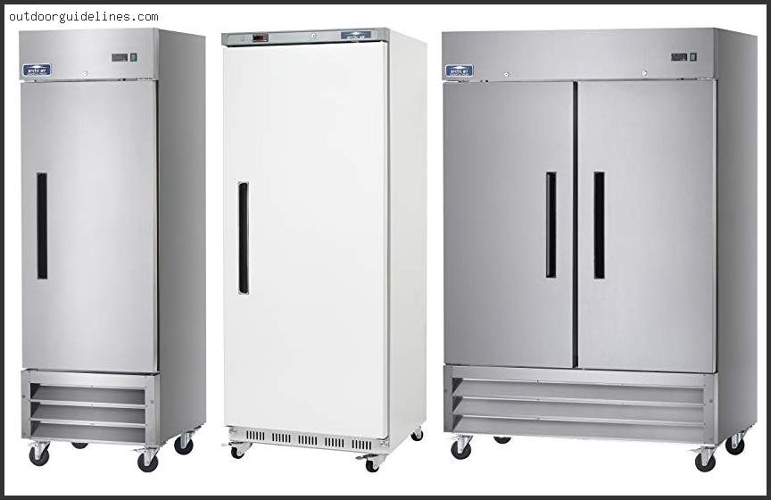 Best Commercial Reach-in Freezers