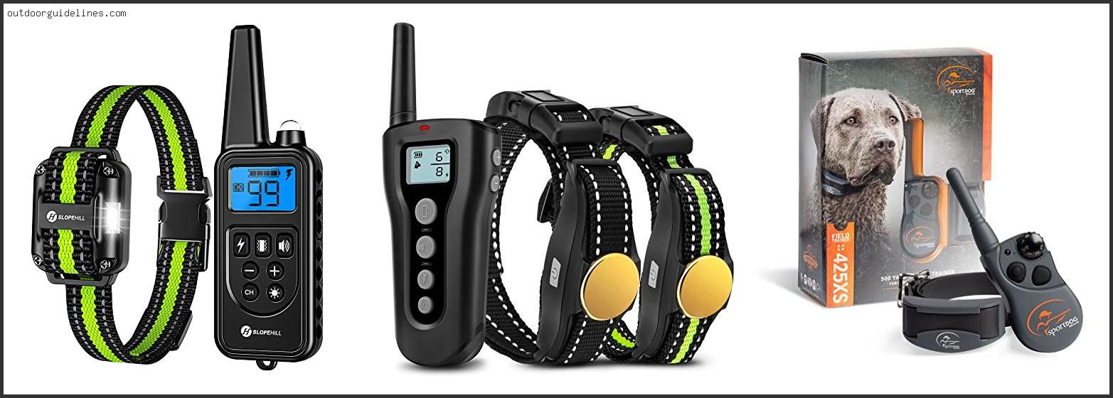 Top 10 Best Dog Shock Collars [ 2026 ]