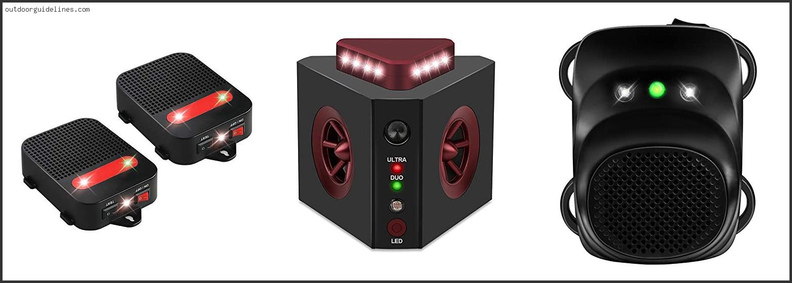 Best Electronic Rodent Repellent