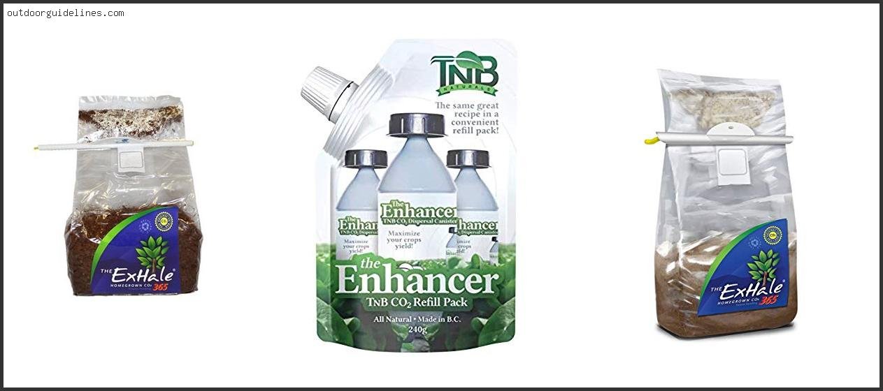 Best Co2 For Grow Tent