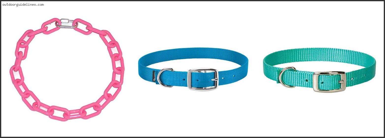 Best Collar For Goats