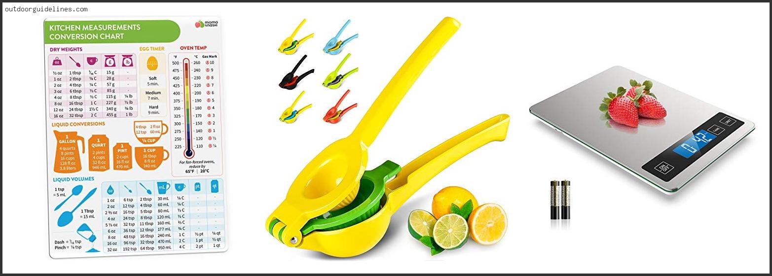 Best Cherry Pitter America's Test Kitchen