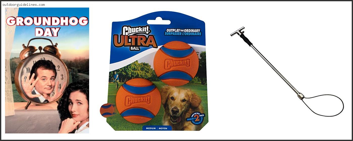 Top 10 Best Catch Dog For Hogs [ 2026 ]