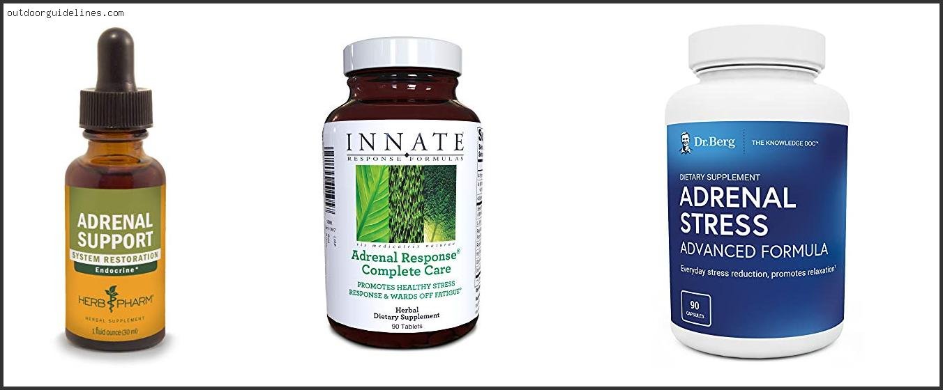 Best Adrenal Support Formula