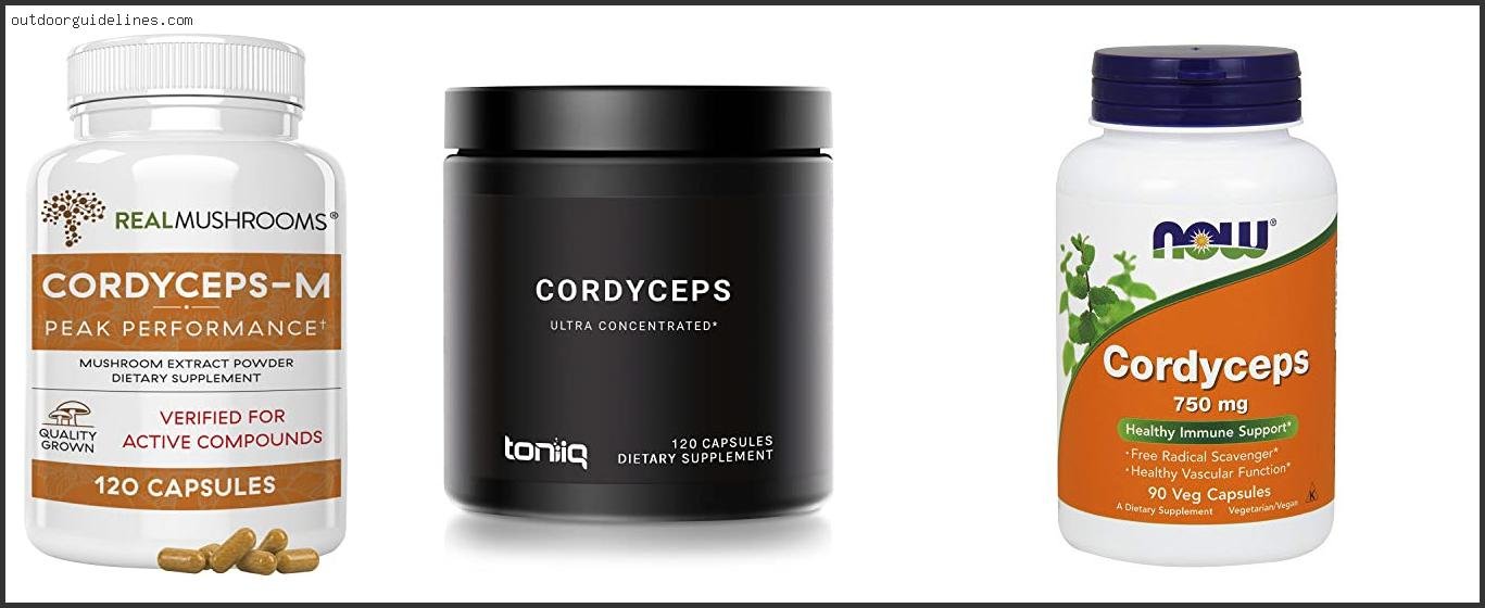 Best Cordyceps Review