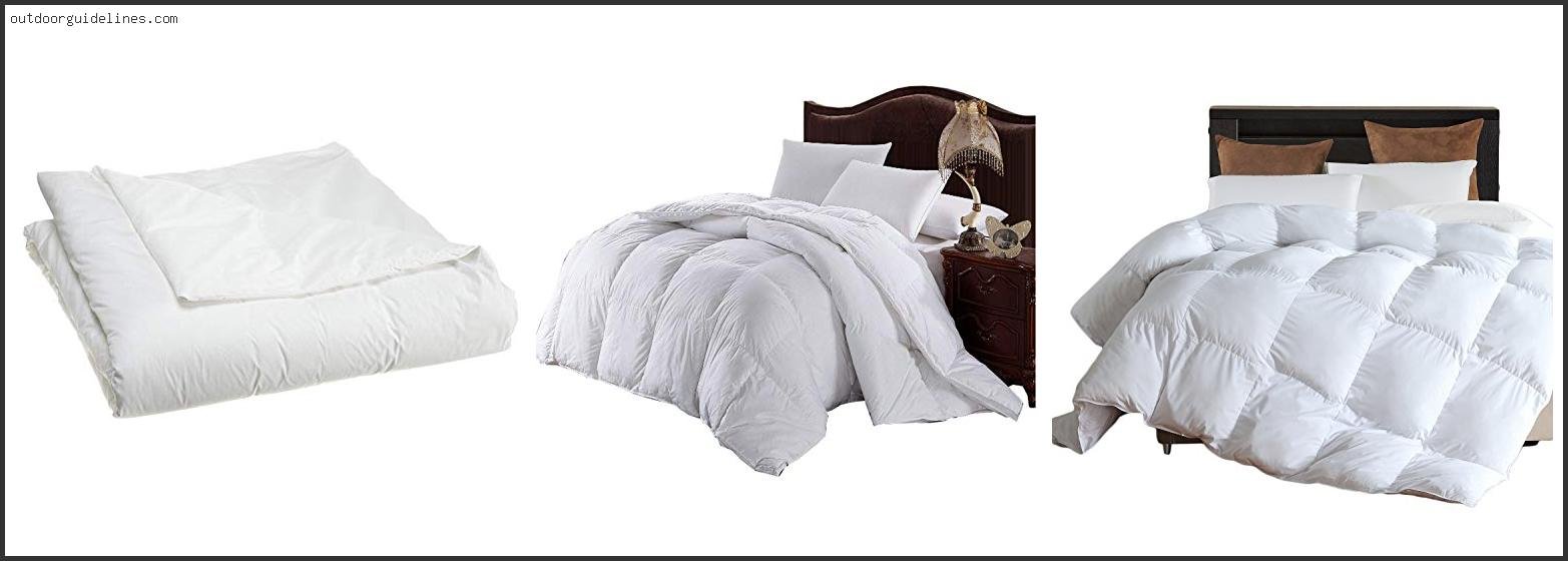 Best Comforter For Allergies