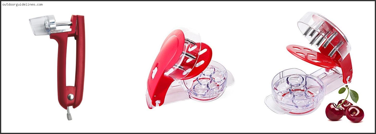 Top 10 Best Cherry Pitter [ 2026 ]