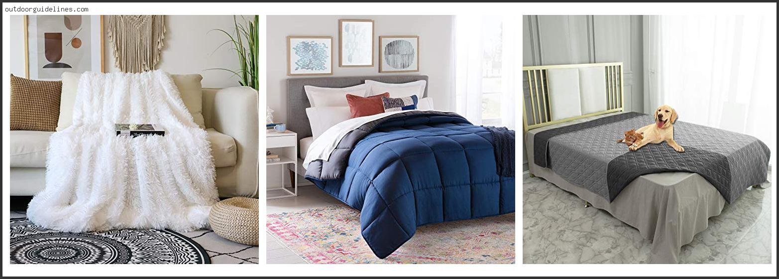 Top 10 Best Comforter For Dog Hair [ 2026 ]