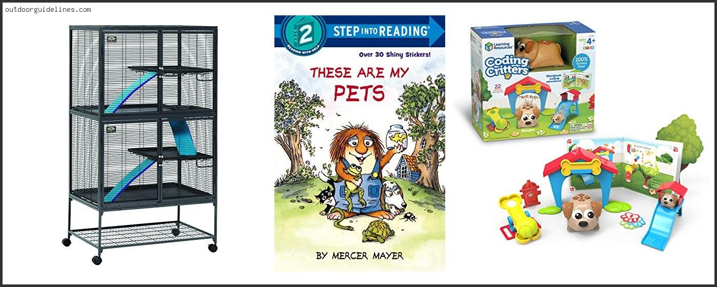 Top 10 Best Critter Pets [ 2026 ]