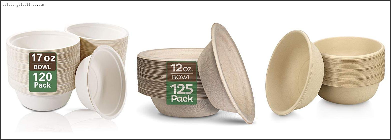 Best Disposable Bowls For Hot Food