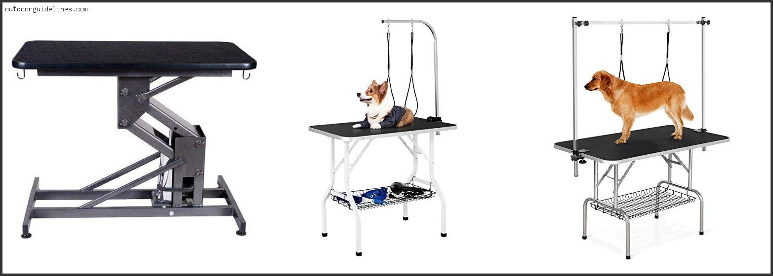 Top 10 Best Dog Grooming Table [ 2025 ]