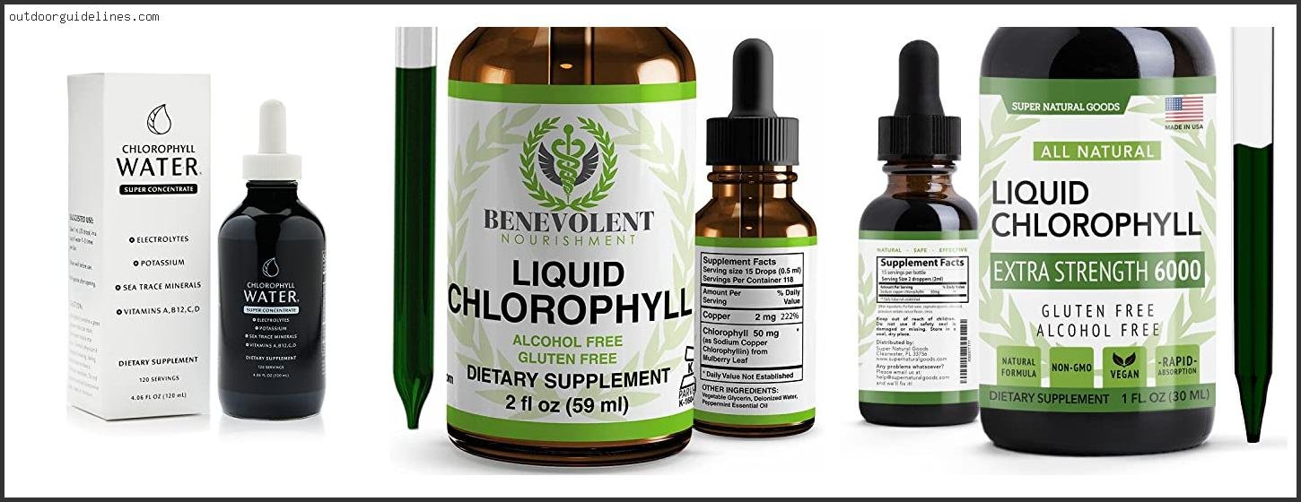 Best Chlorophyll Drops For Water