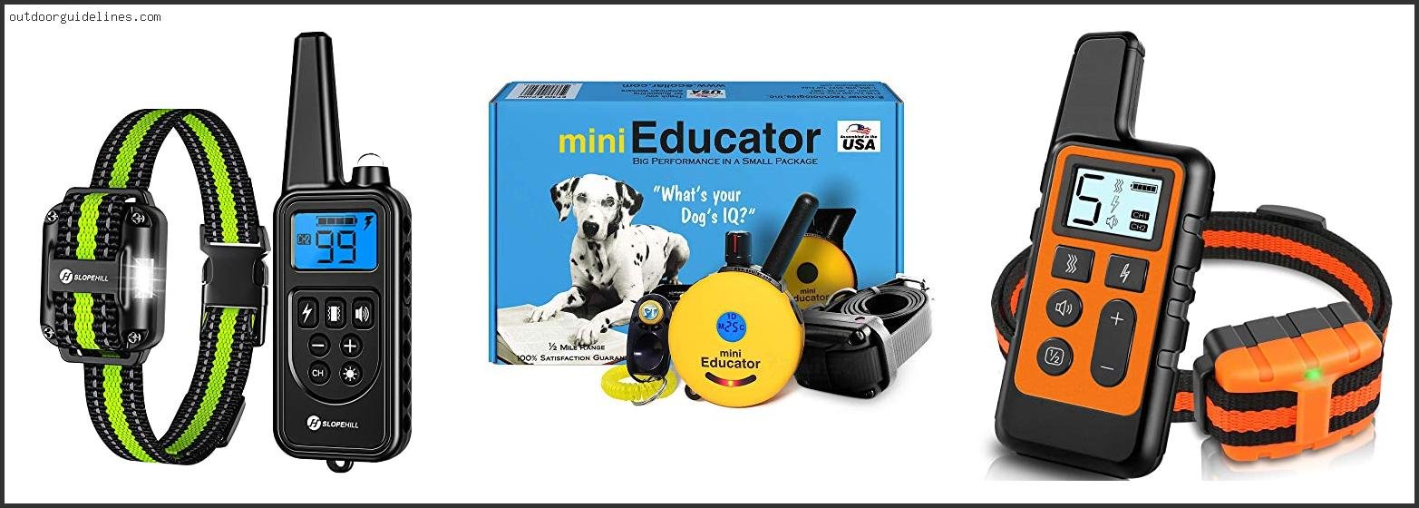 Best Dog Training Collars