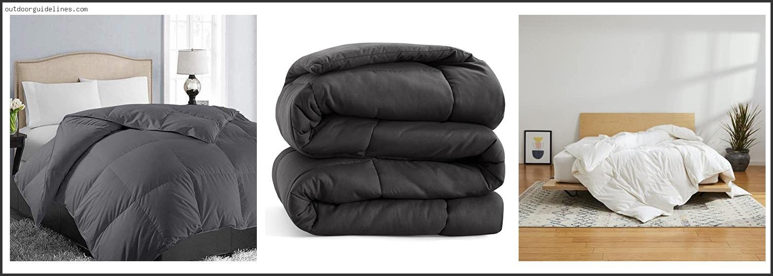 Best All Season Comforter