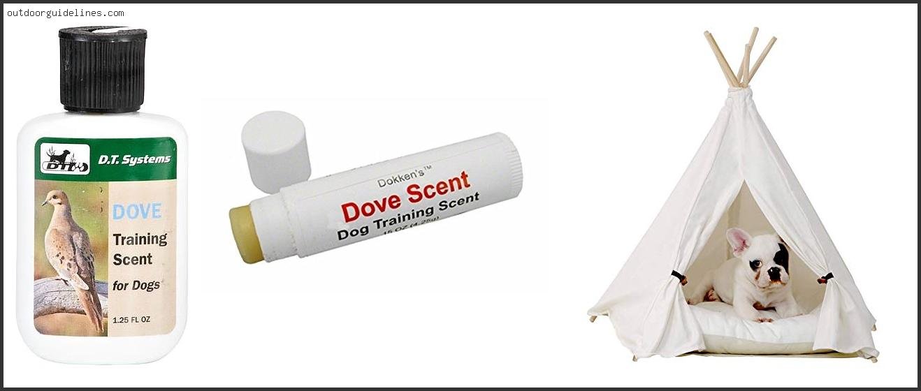 Best Dove Dog