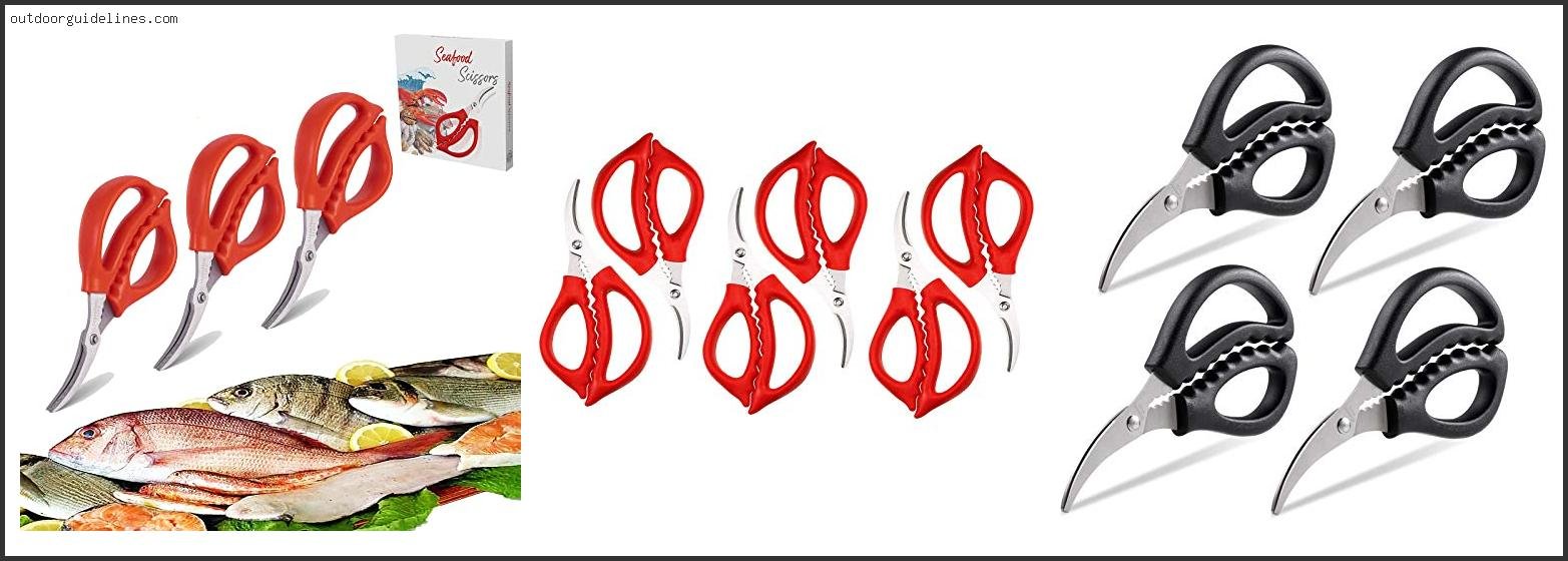 Best Crab Scissors