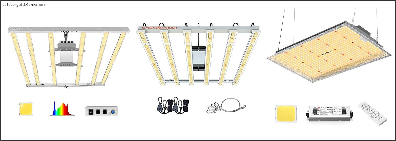 Best Grow Light For 4x4 Tent