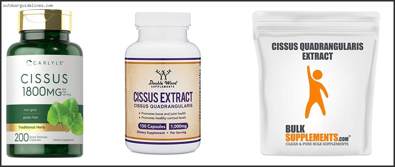 Best Cissus Quadrangularis Supplement