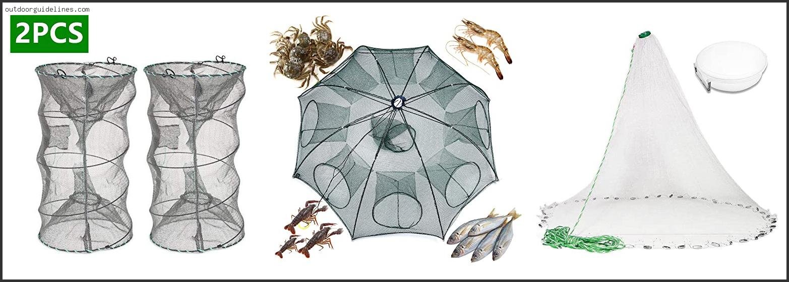 Best Bait For Fish Traps