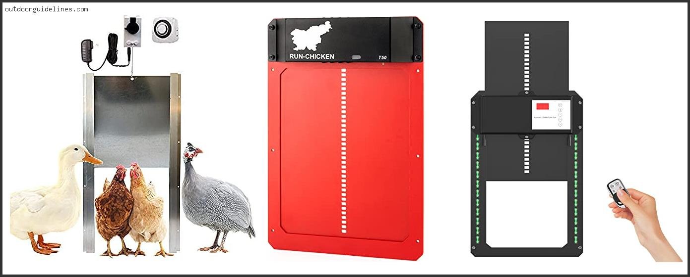 Top 10 Best Automatic Chicken Door [ 2026 ]