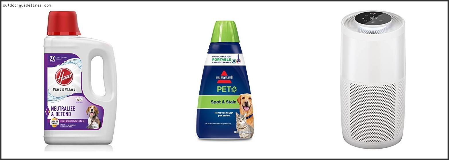 Best Carpet Cleaning Machines For Pet Owners