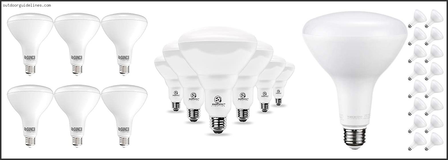 Best Br40 Led Bulb