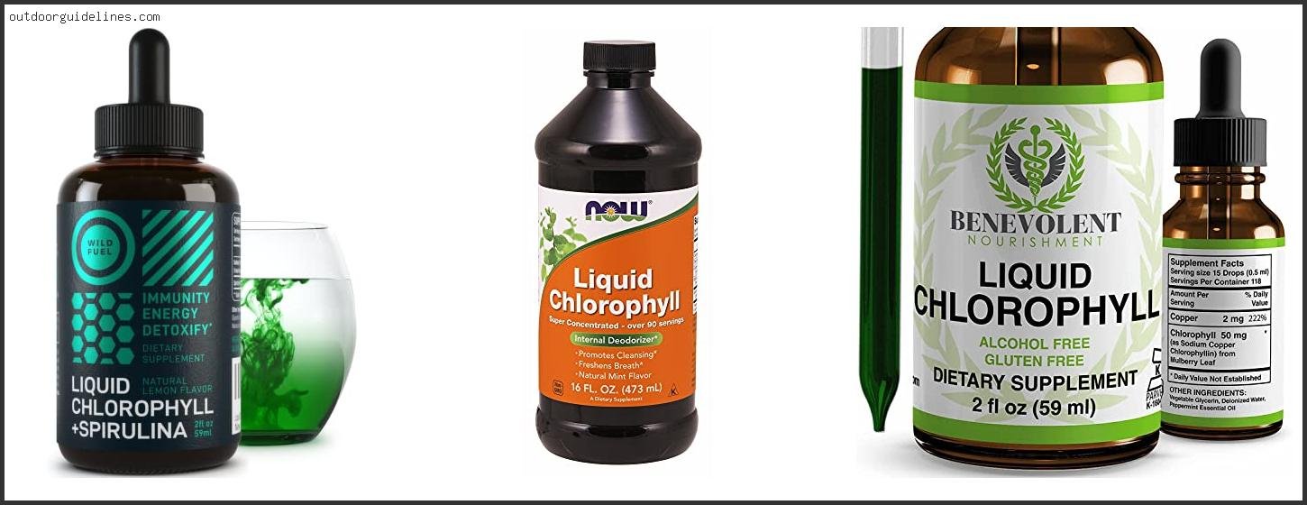 Best Chlorophyll Water