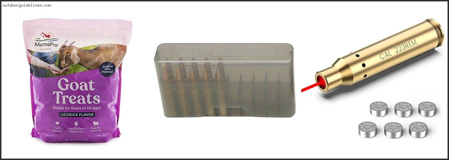 Top 10 Best Grain Bullet For 7mm Rem Mag [ 2025 ]
