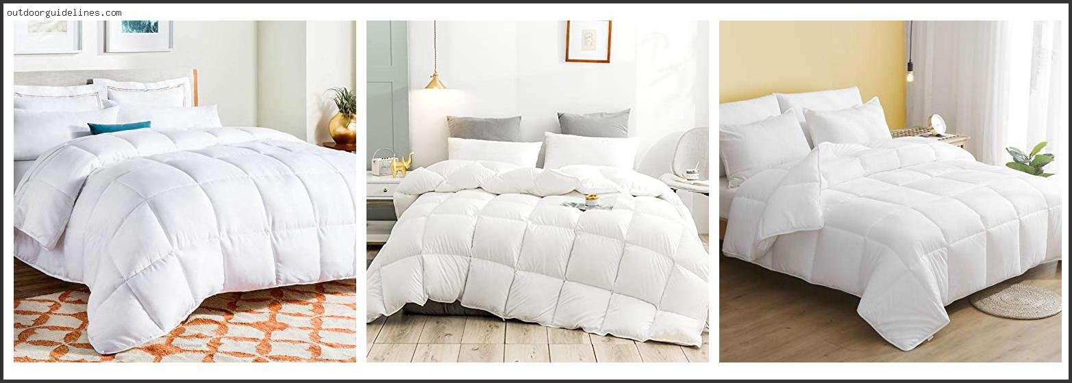 Best Lightweight Comforter