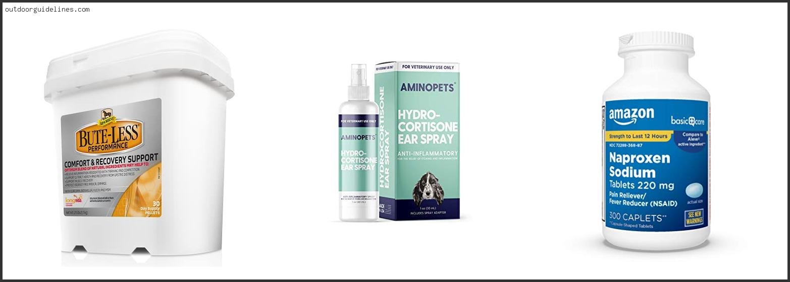 Best Anti Inflammatory For Horses
