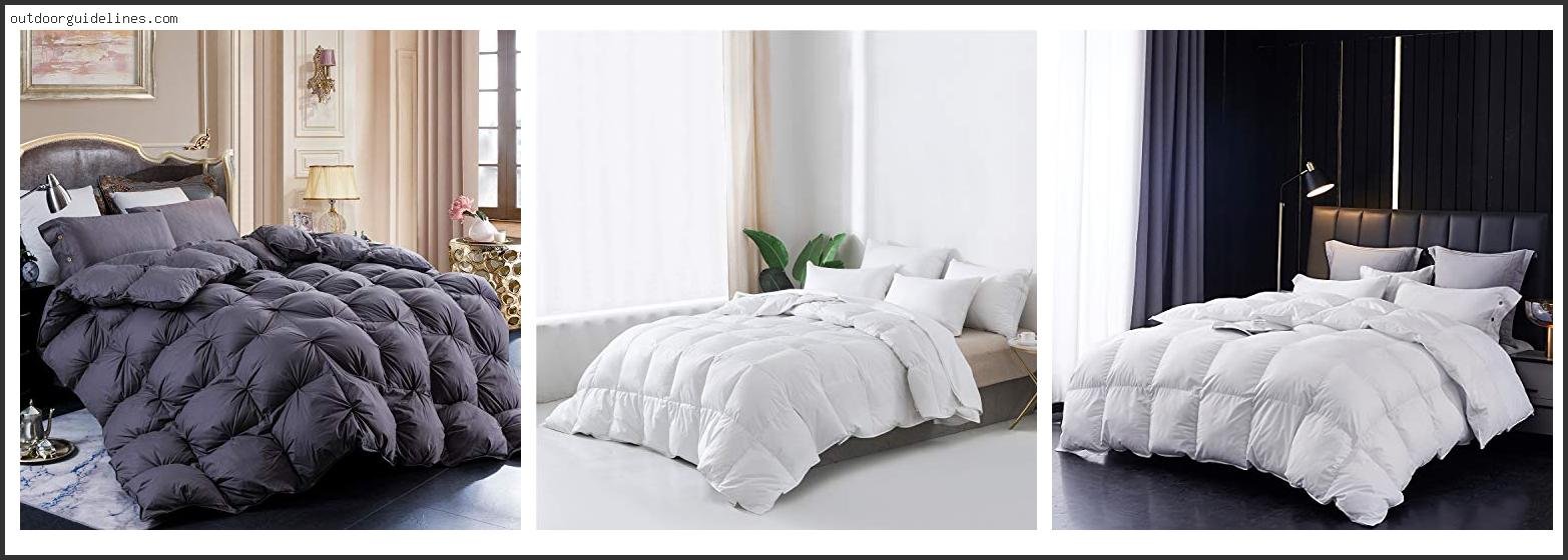 Top 10 Best Goose Down Comforter [ 2025 ]