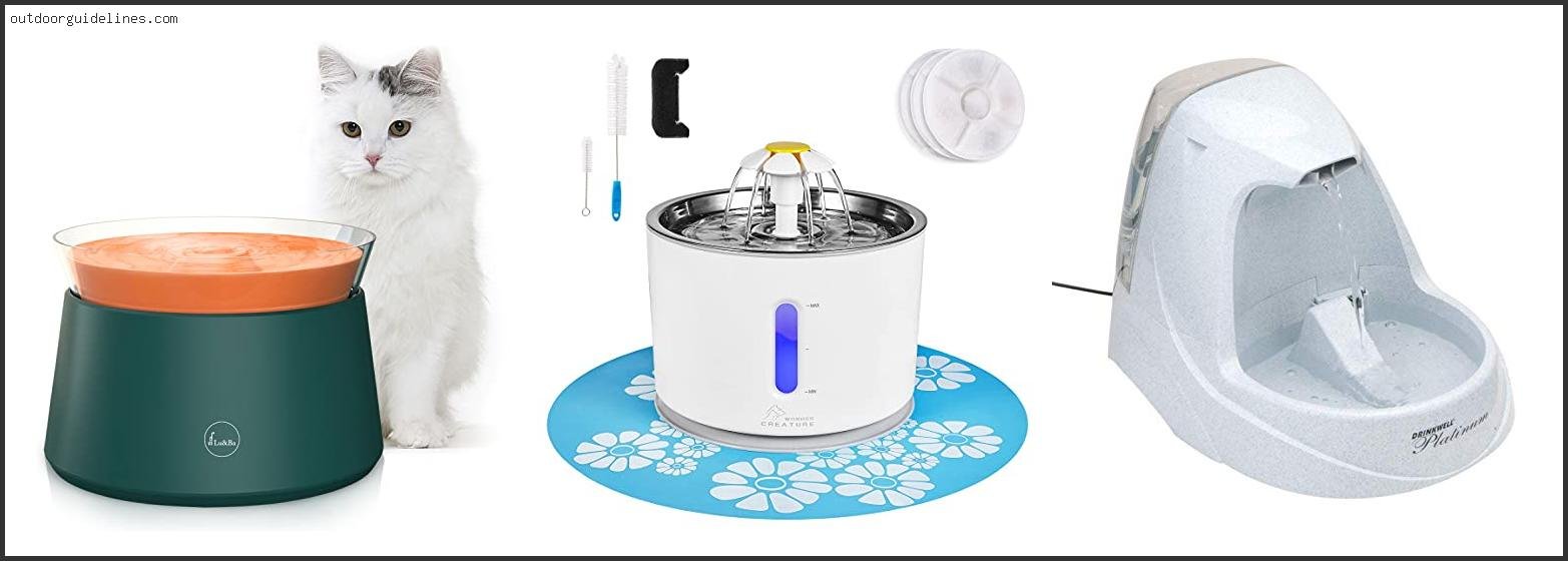 Best Cat Fountain Reviews