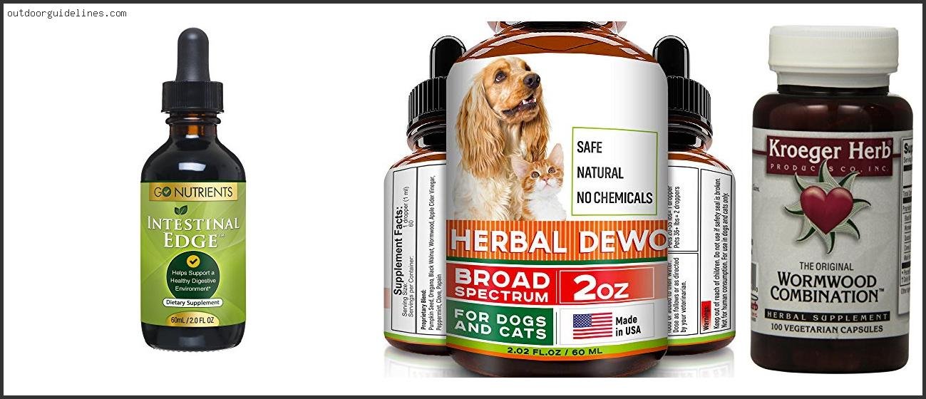 Best Cleanse For Parasites